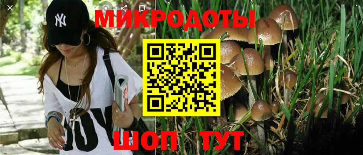 Галлюциногенные грибы прущие грибы  Галлюциногенные грибы ЛСД  Котлас  Вход с VPN 